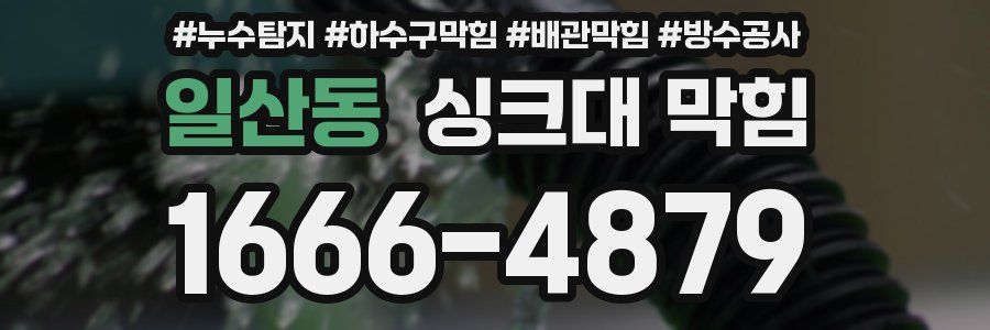 일산동 싱크대 막힘