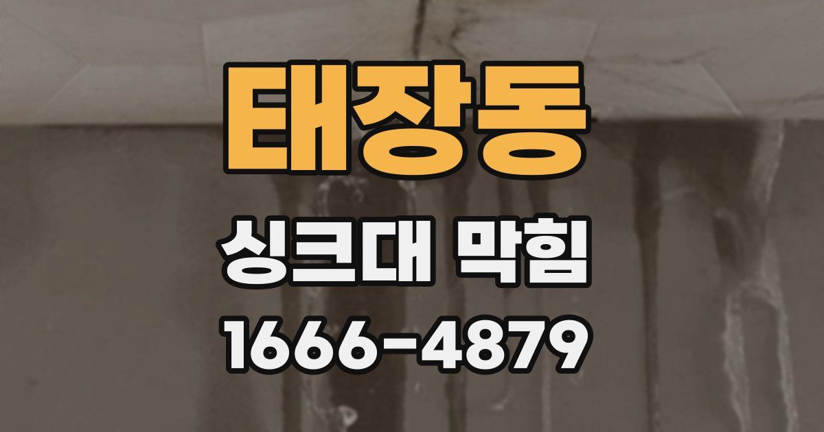 태장동 싱크대 막힘