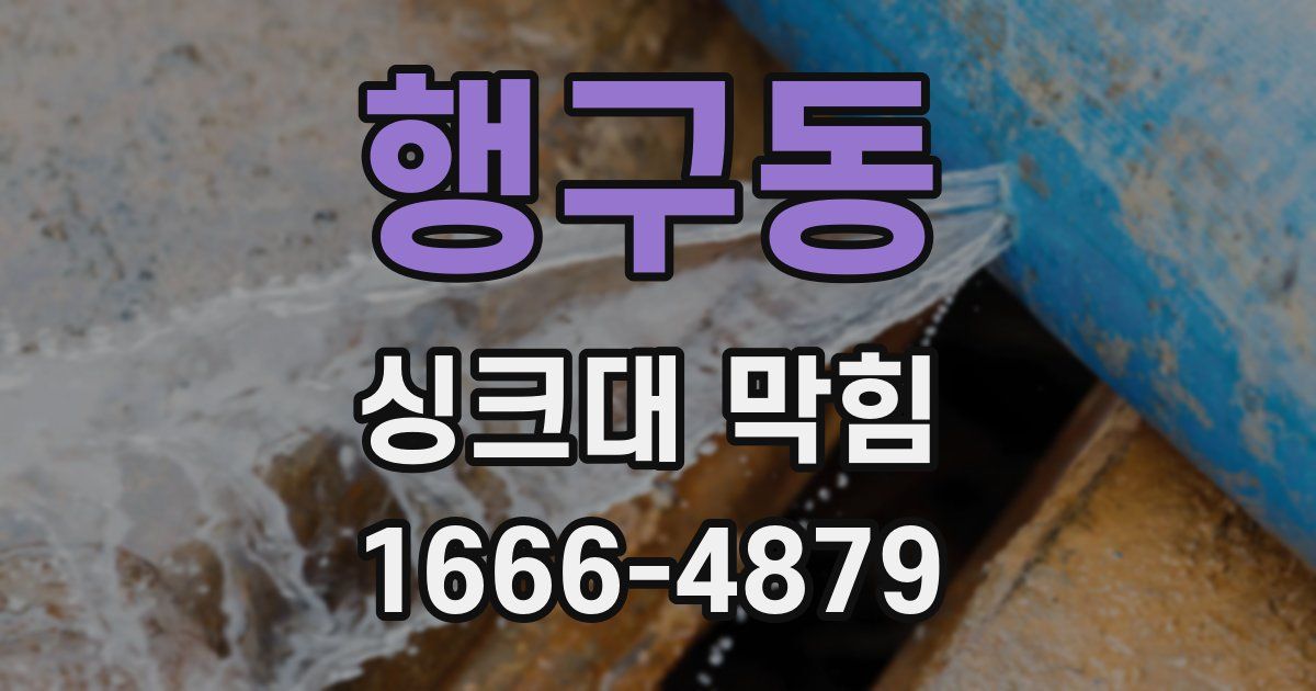 행구동 싱크대 막힘