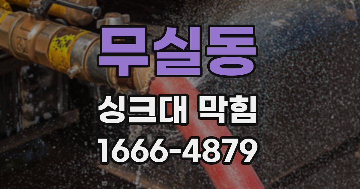 무실동 싱크대 막힘