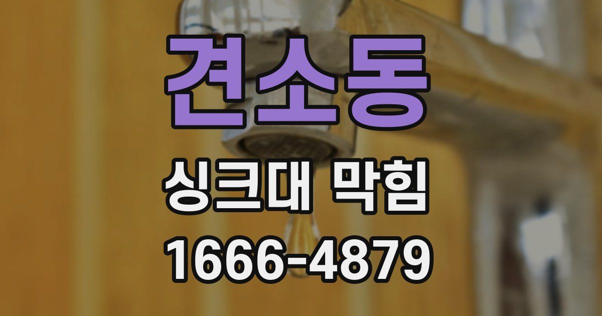 견소동 싱크대 막힘
