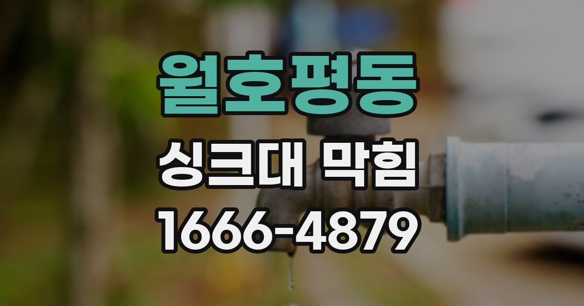 월호평동 싱크대 막힘