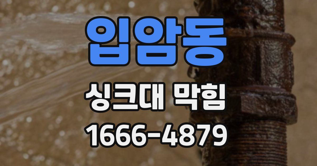입암동 싱크대 막힘