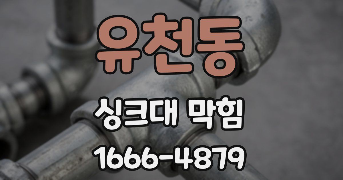 유천동 싱크대 막힘
