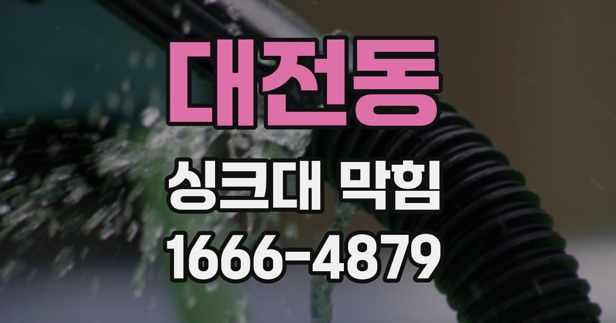 대전동 싱크대 막힘