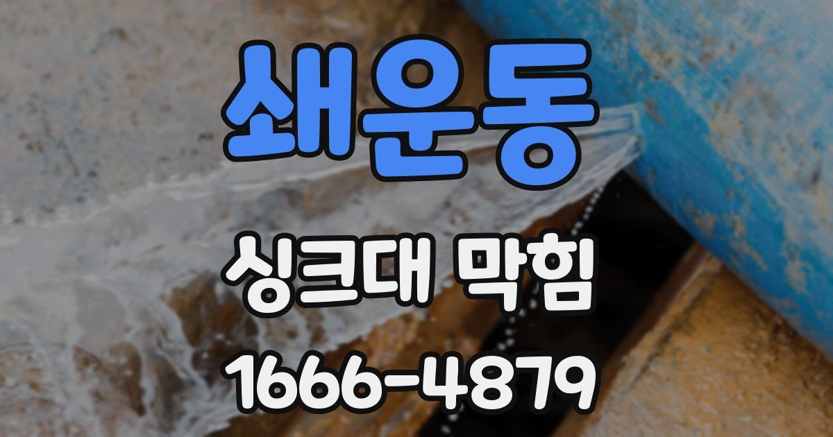 쇄운동 싱크대 막힘