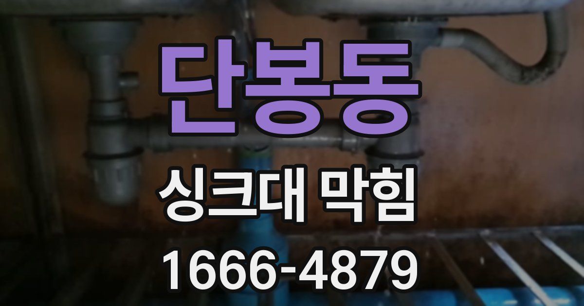 단봉동 싱크대 막힘