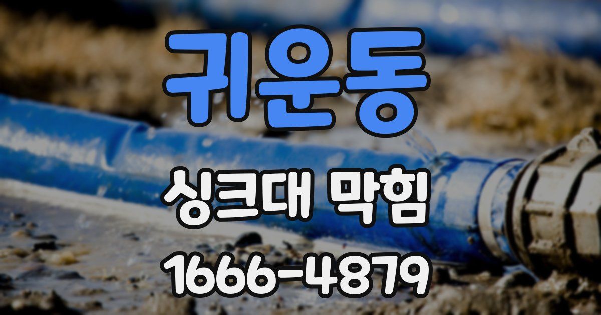 귀운동 싱크대 막힘