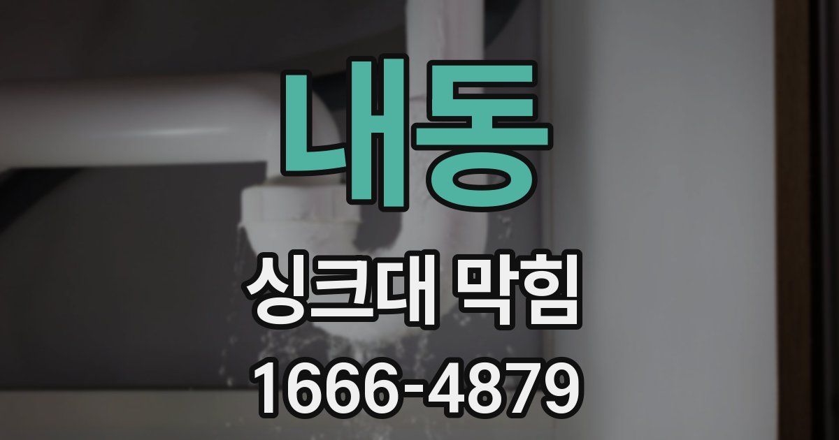 내동 싱크대 막힘