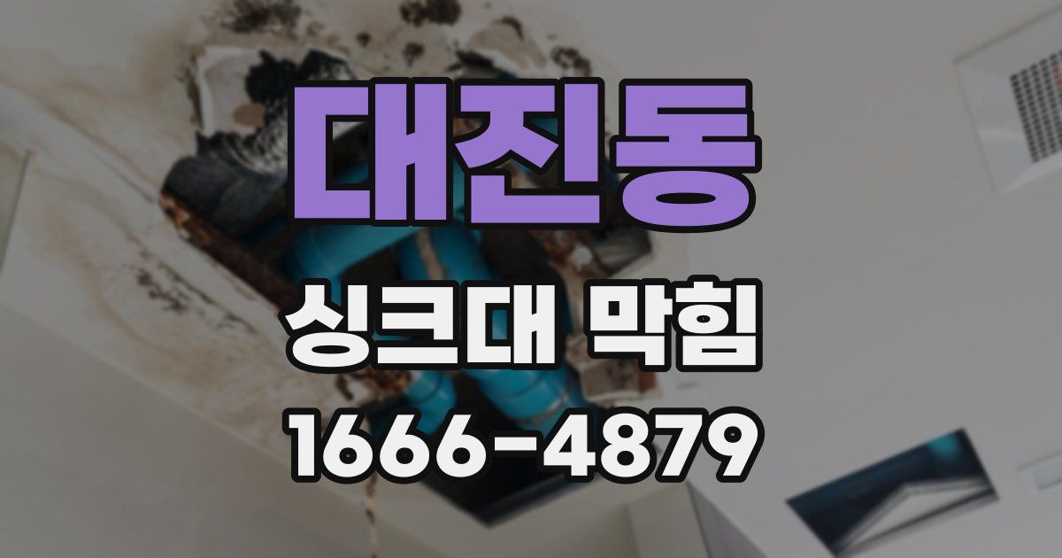 대진동 싱크대 막힘