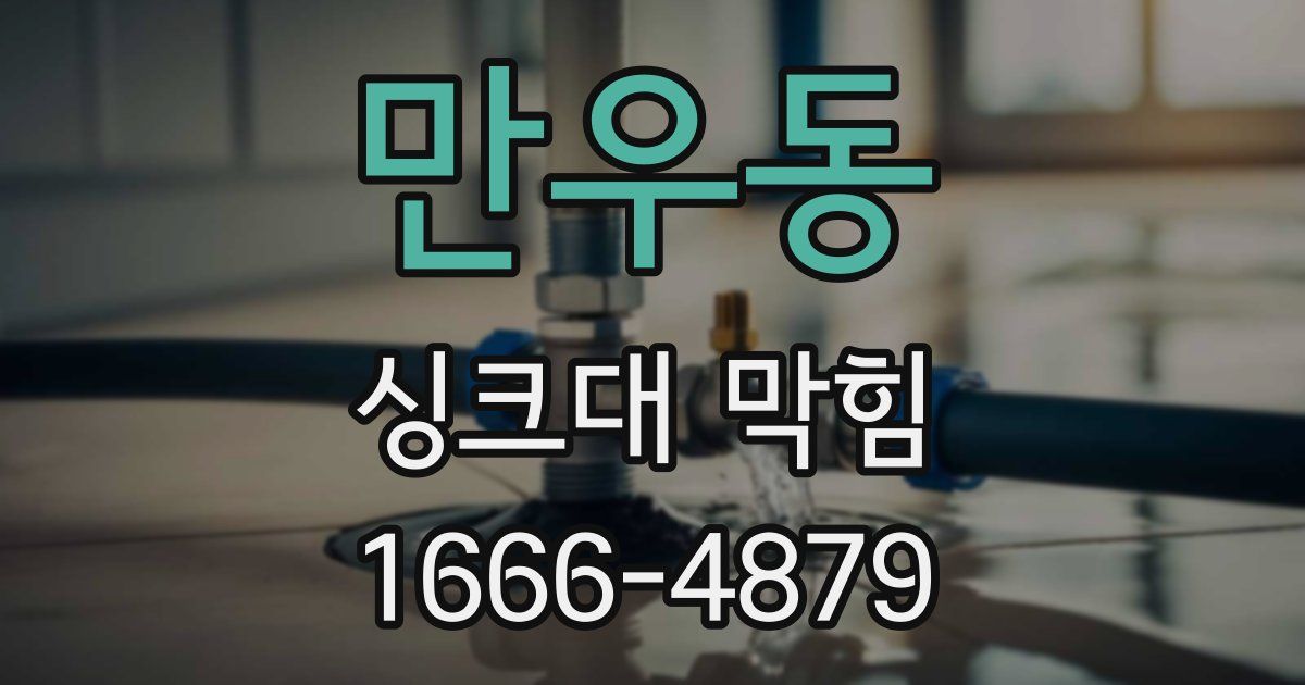 만우동 싱크대 막힘