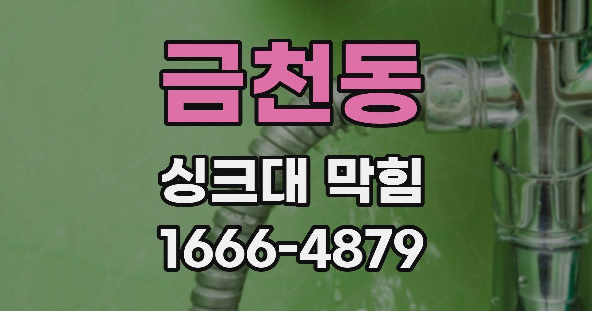 금천동 싱크대 막힘