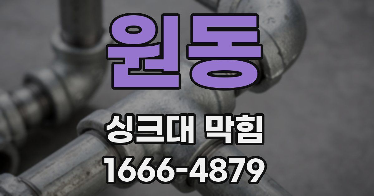 원동 싱크대 막힘