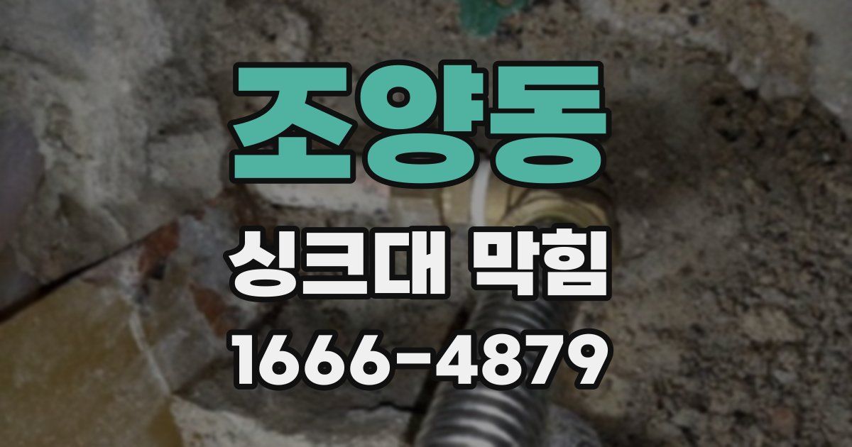 조양동 싱크대 막힘