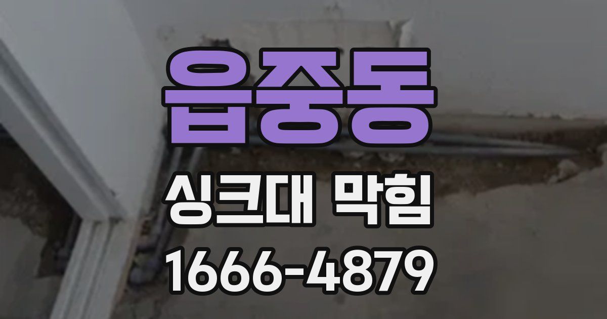 읍중동 싱크대 막힘