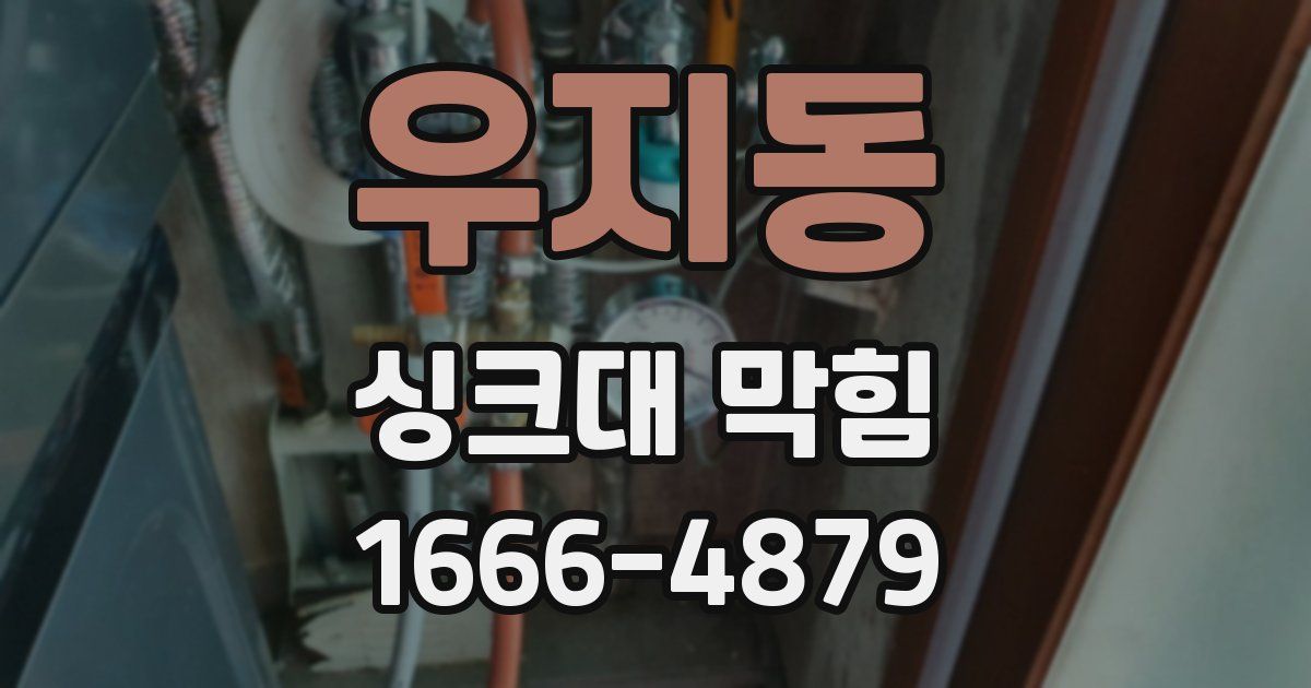 우지동 싱크대 막힘