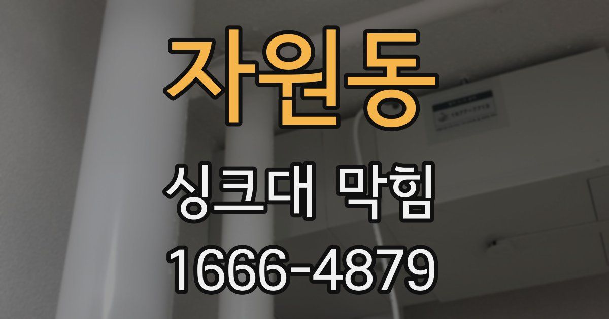 자원동 싱크대 막힘