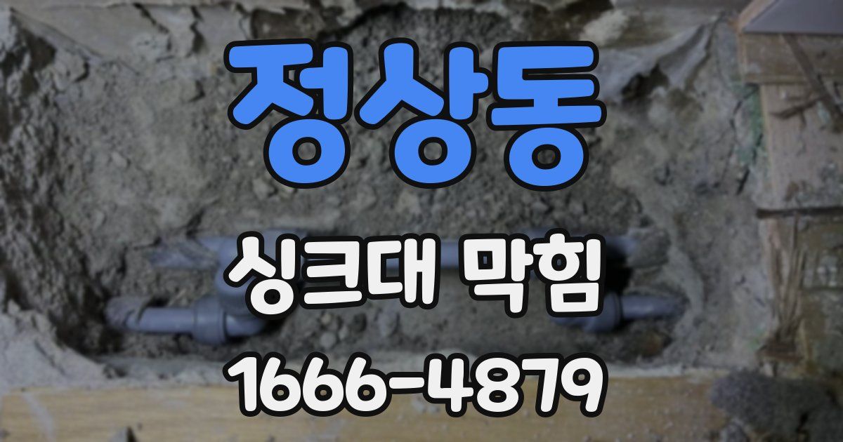 정상동 싱크대 막힘