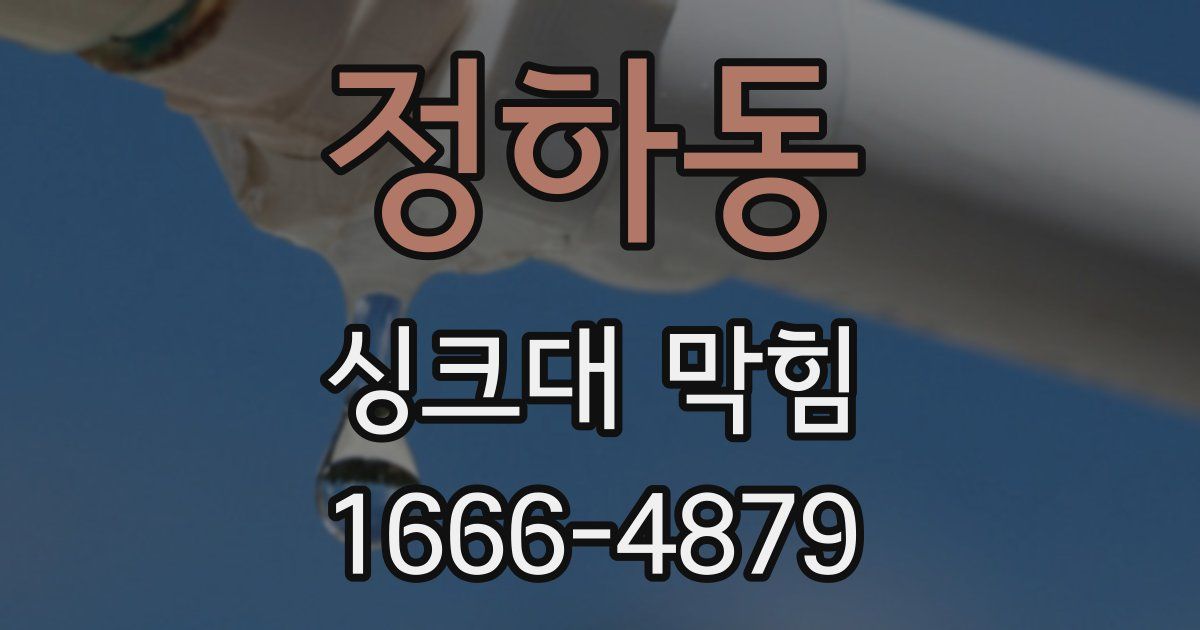 정하동 싱크대 막힘