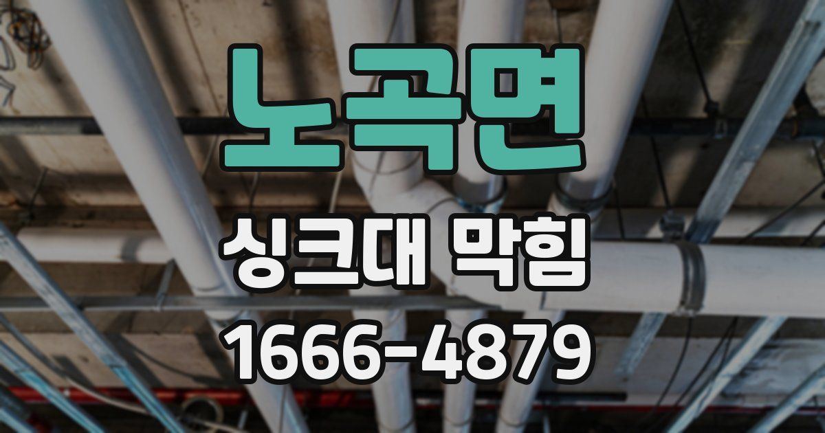 노곡면 싱크대 막힘
