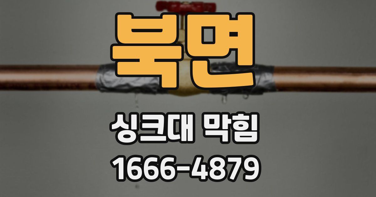 북면 싱크대 막힘