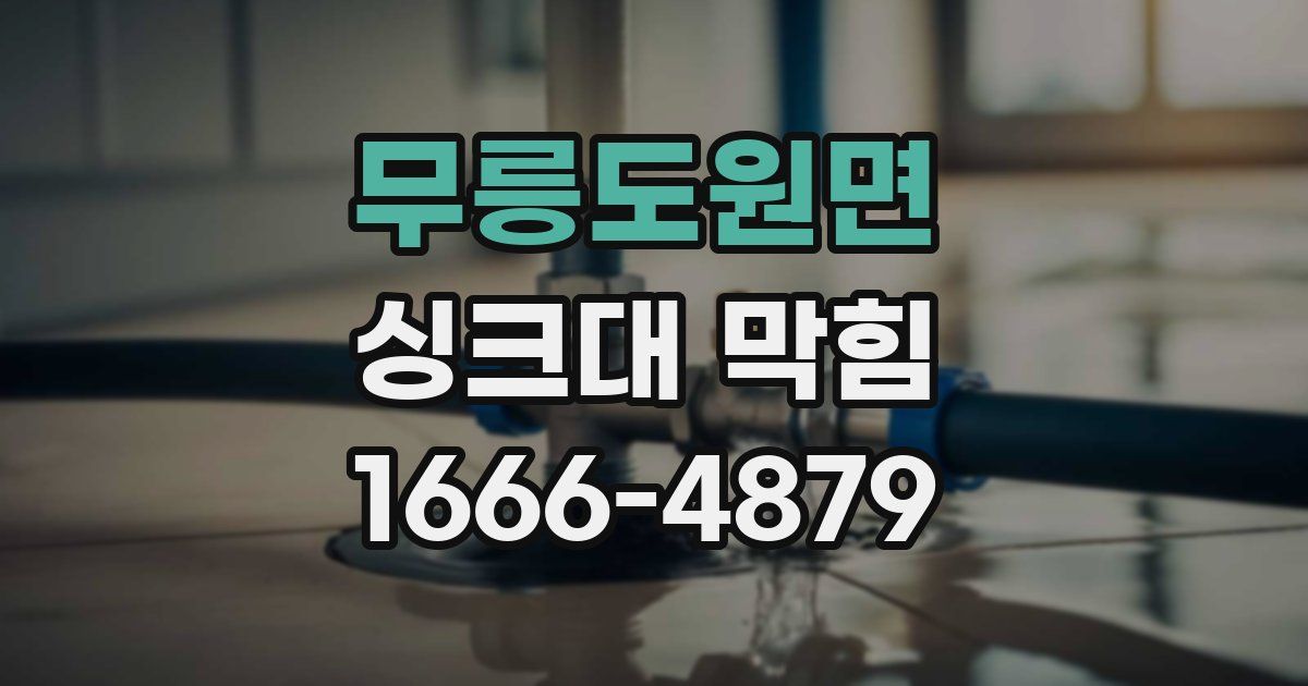 무릉도원면 싱크대 막힘