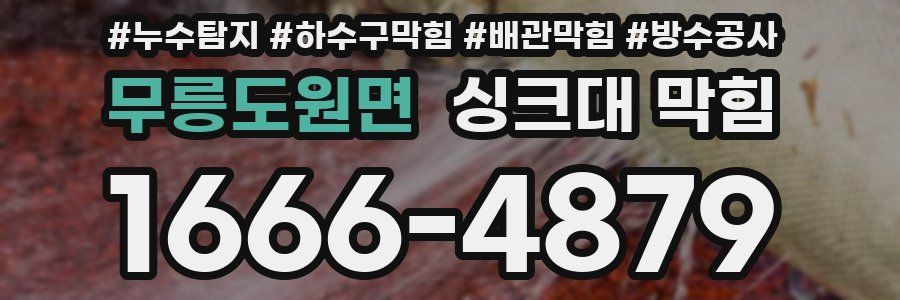 무릉도원면 싱크대 막힘