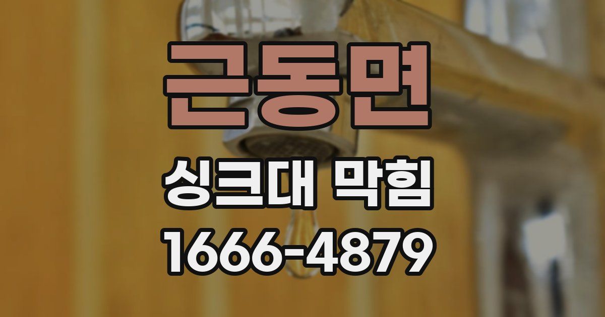 근동면 싱크대 막힘