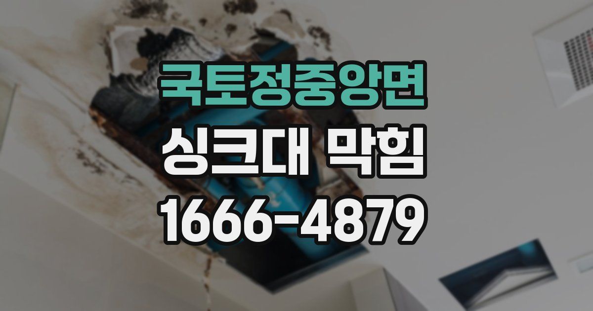 국토정중앙면 싱크대 막힘