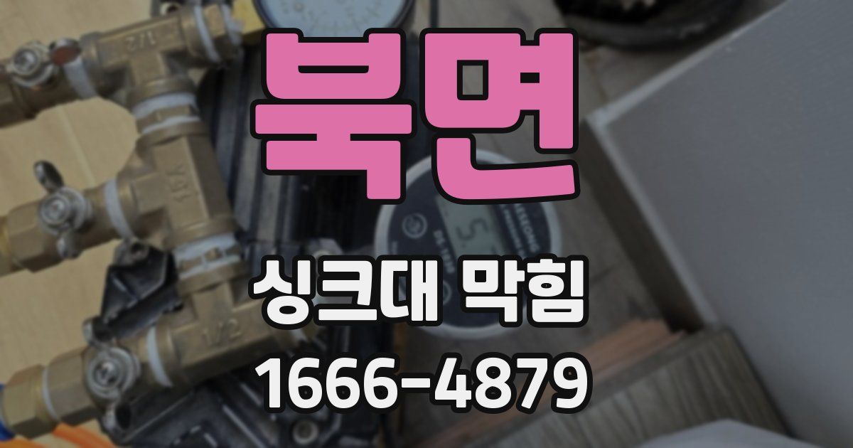 북면 싱크대 막힘