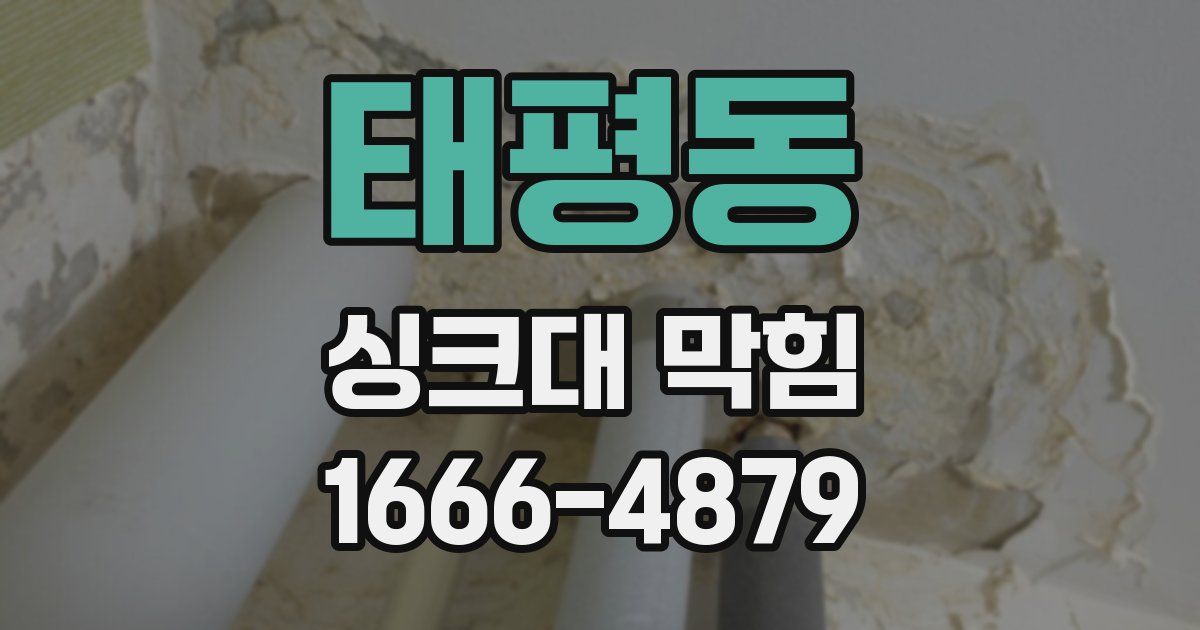태평동 싱크대 막힘