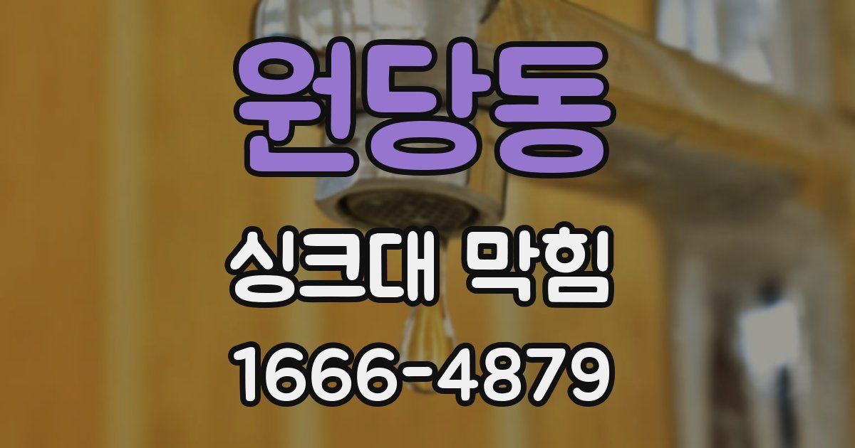 원당동 싱크대 막힘