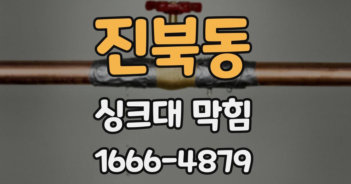 진북동 싱크대 막힘