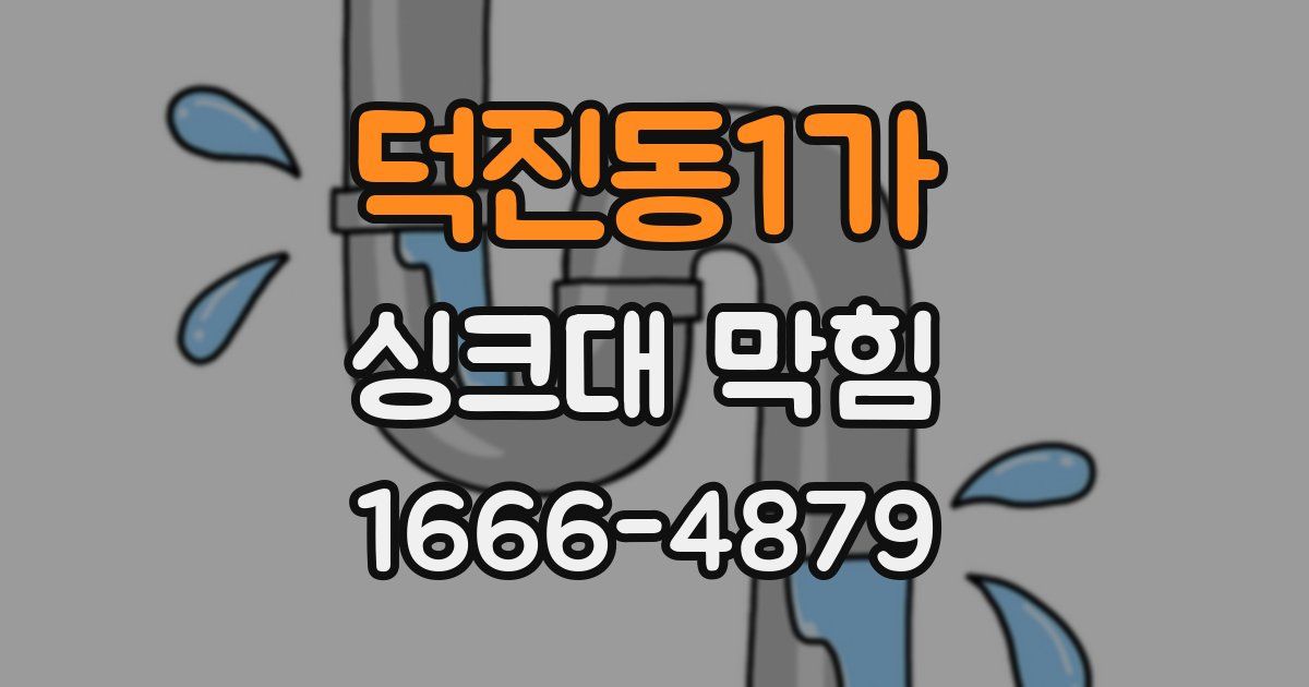 덕진동1가 싱크대 막힘