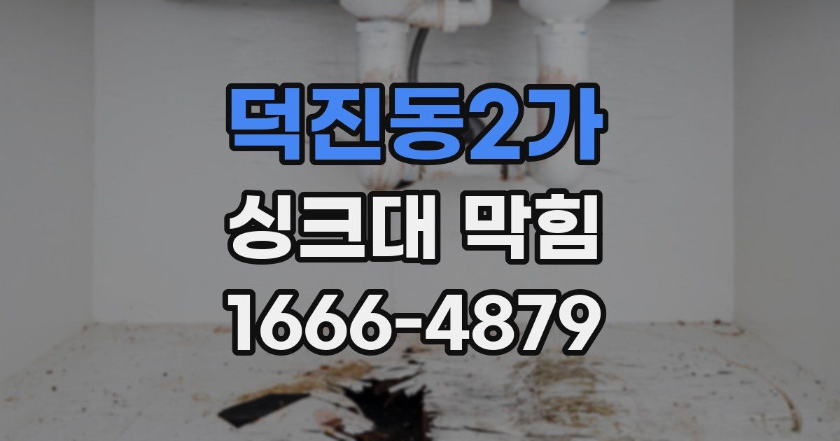 덕진동2가 싱크대 막힘