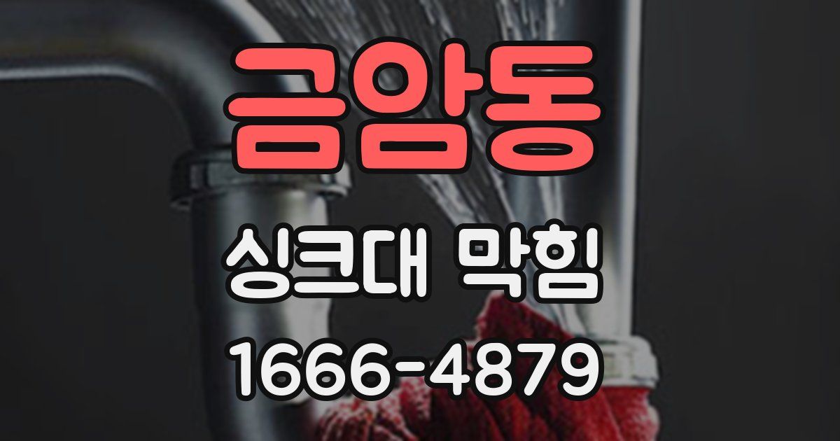 금암동 싱크대 막힘