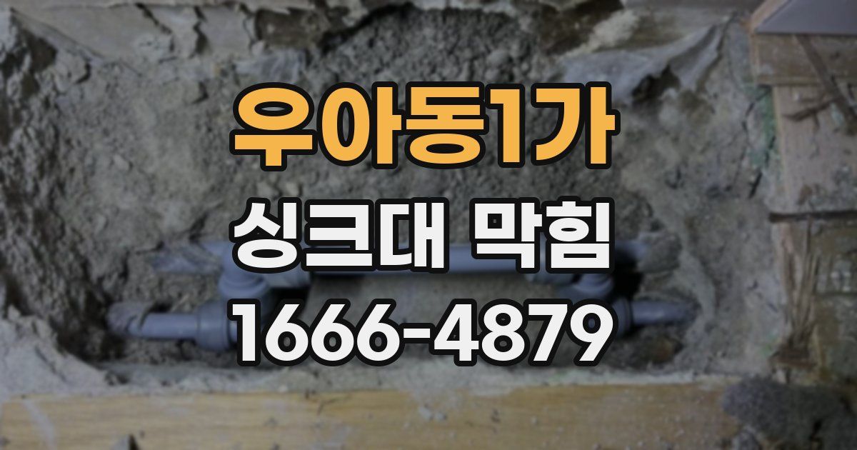 우아동1가 싱크대 막힘