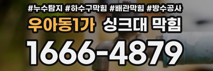 우아동1가 싱크대 막힘