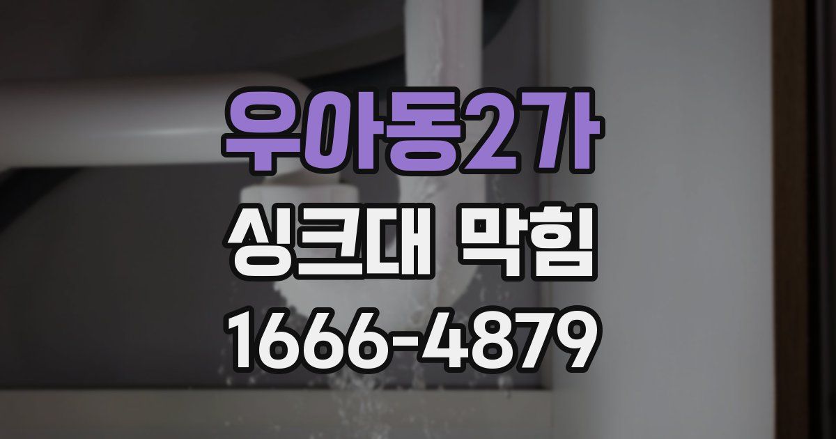 우아동2가 싱크대 막힘