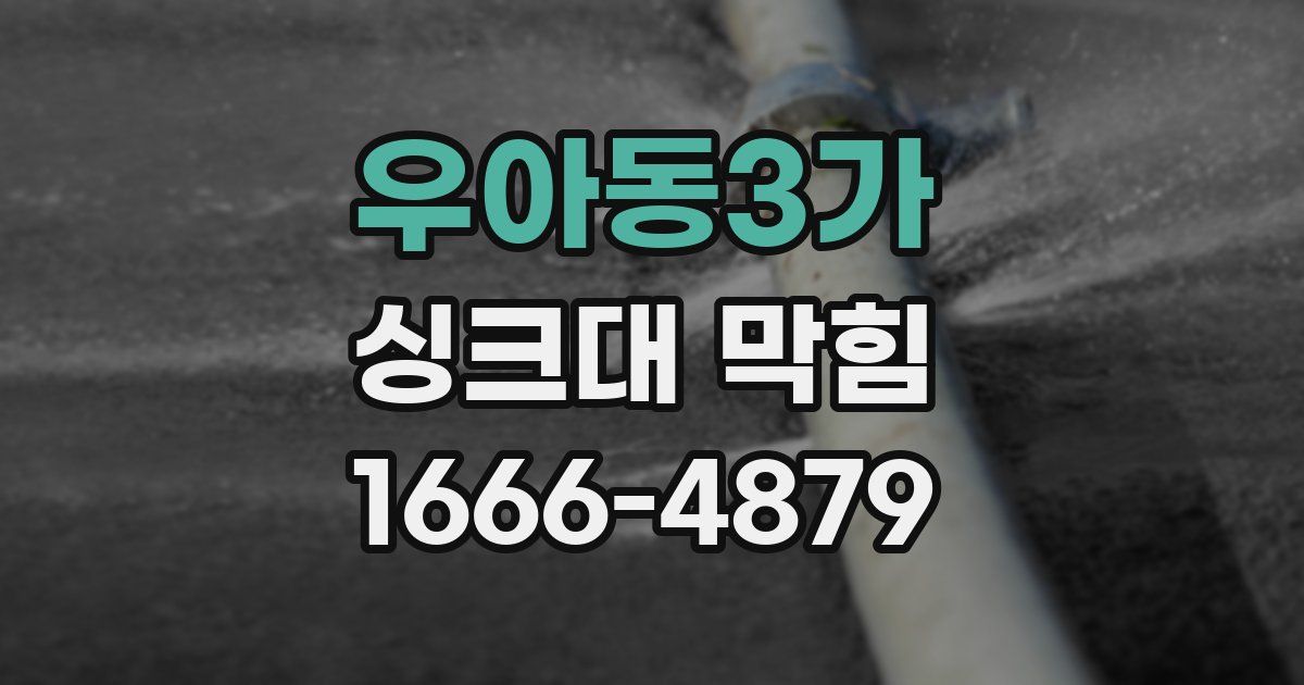 우아동3가 싱크대 막힘