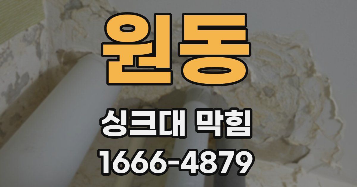 원동 싱크대 막힘