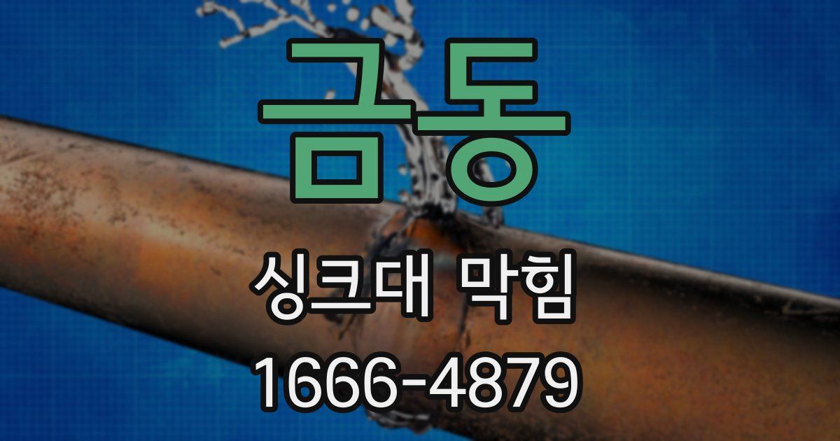 금동 싱크대 막힘