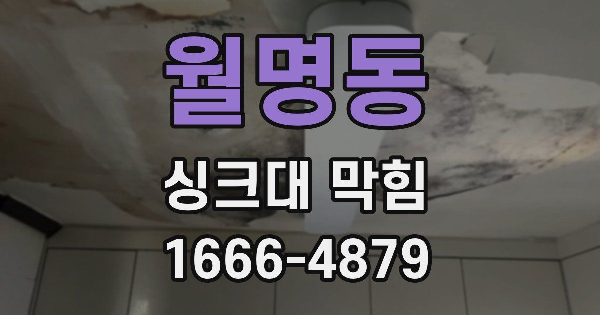 월명동 싱크대 막힘