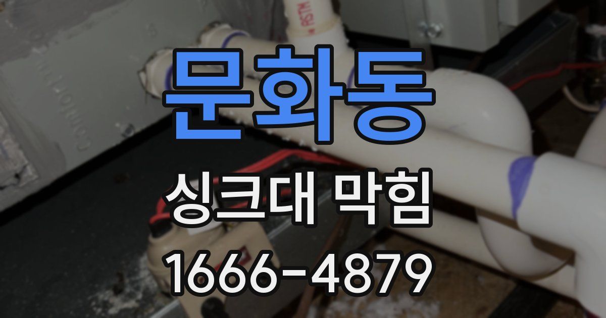 문화동 싱크대 막힘