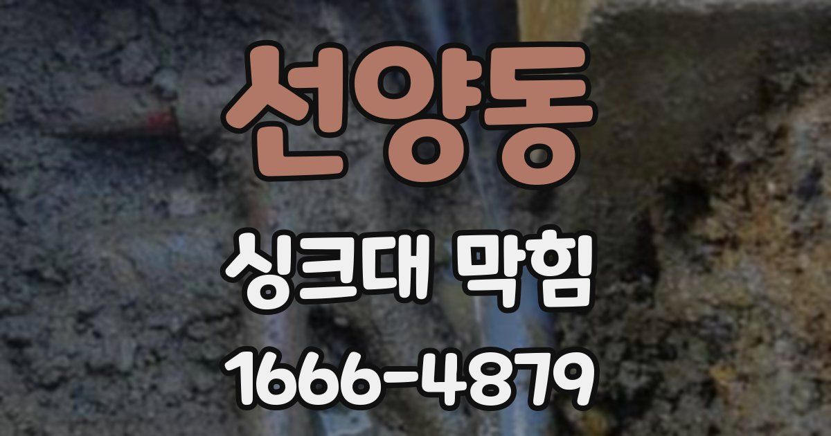 선양동 싱크대 막힘