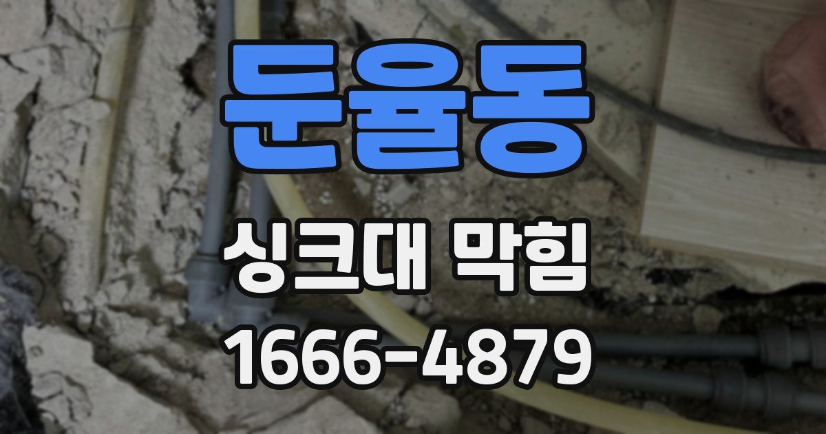 둔율동 싱크대 막힘