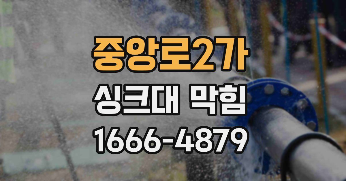 중앙로2가 싱크대 막힘