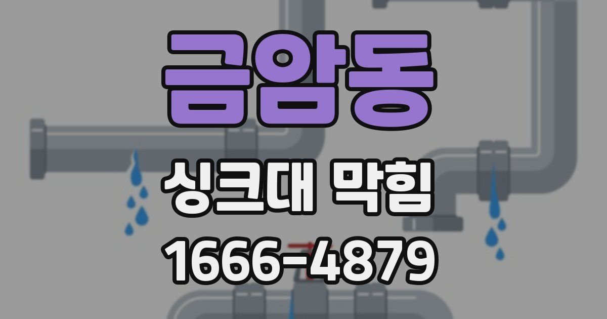 금암동 싱크대 막힘