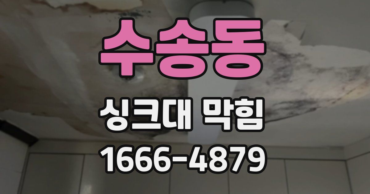수송동 싱크대 막힘