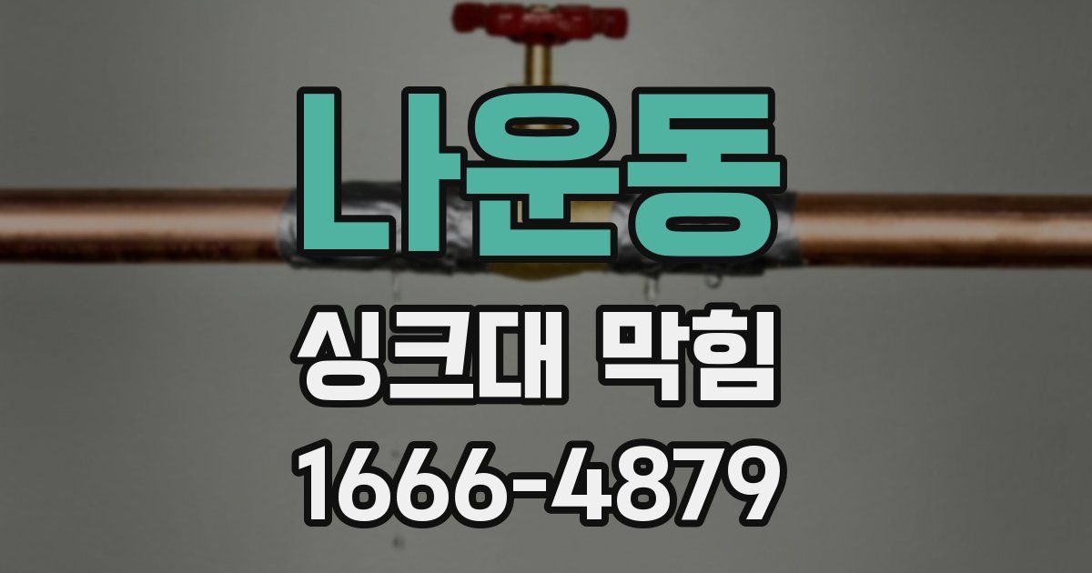 나운동 싱크대 막힘